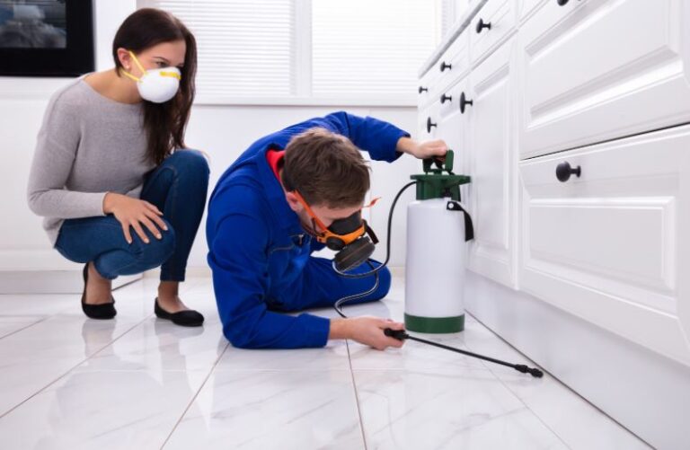 Tips in Keeping the Home Safe from Pests
