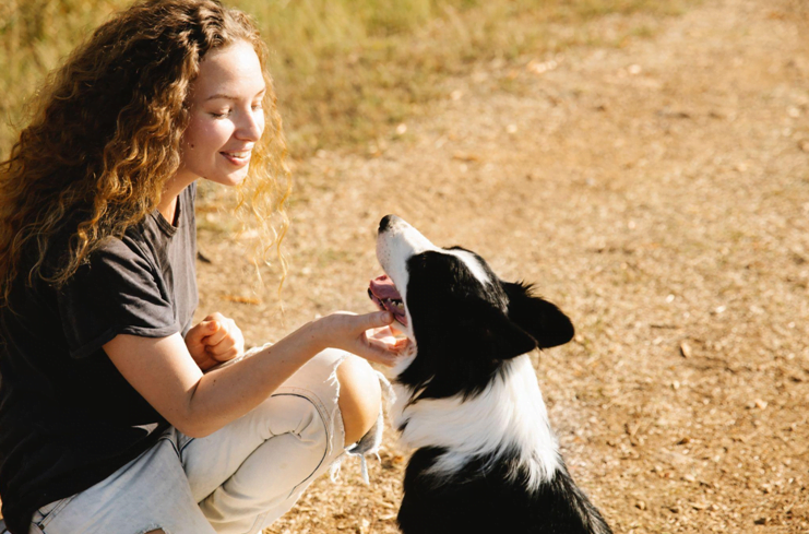 Things Every Pet Sitter Should Know